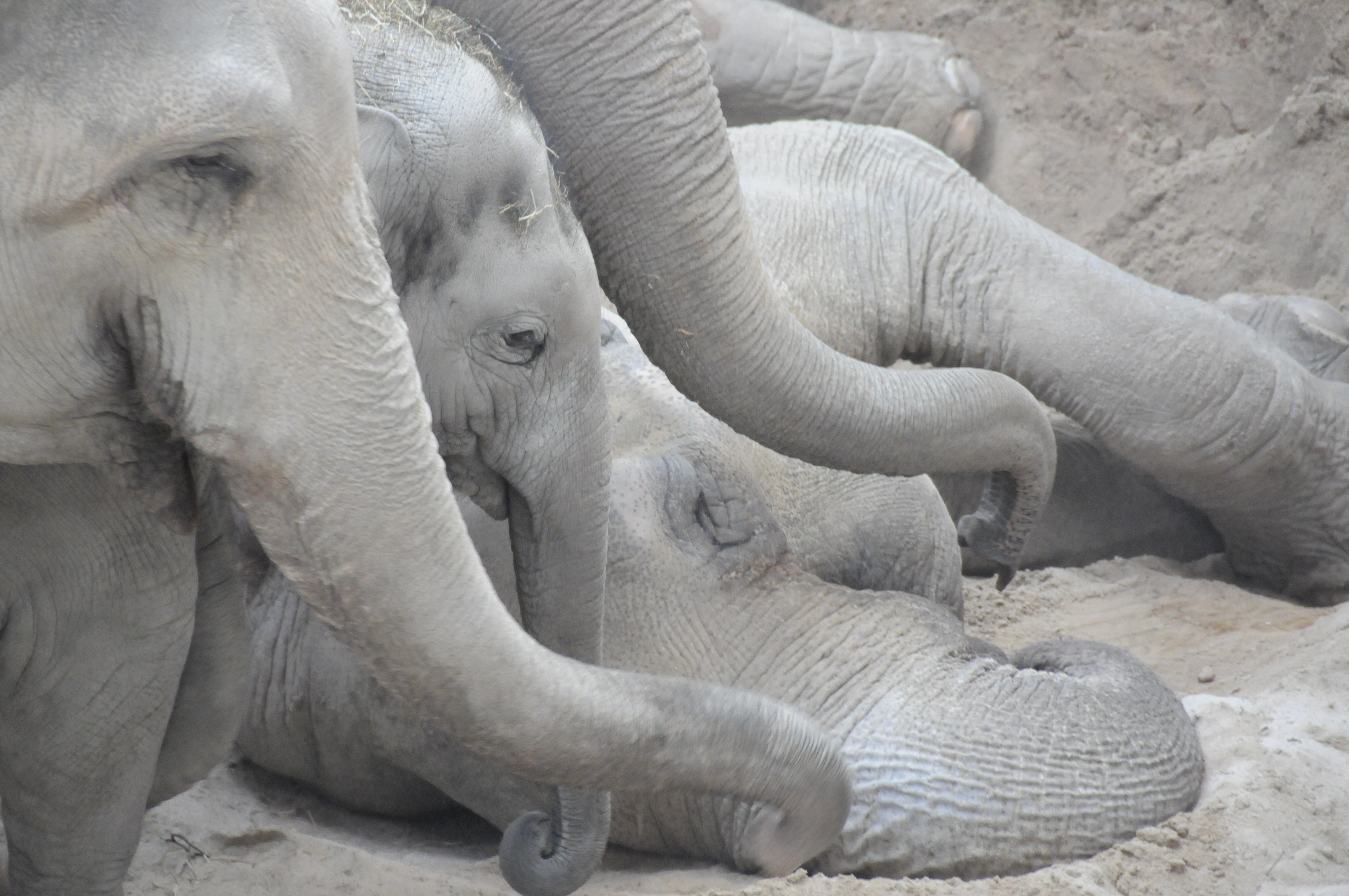 160503_Bild Abschied von Druk